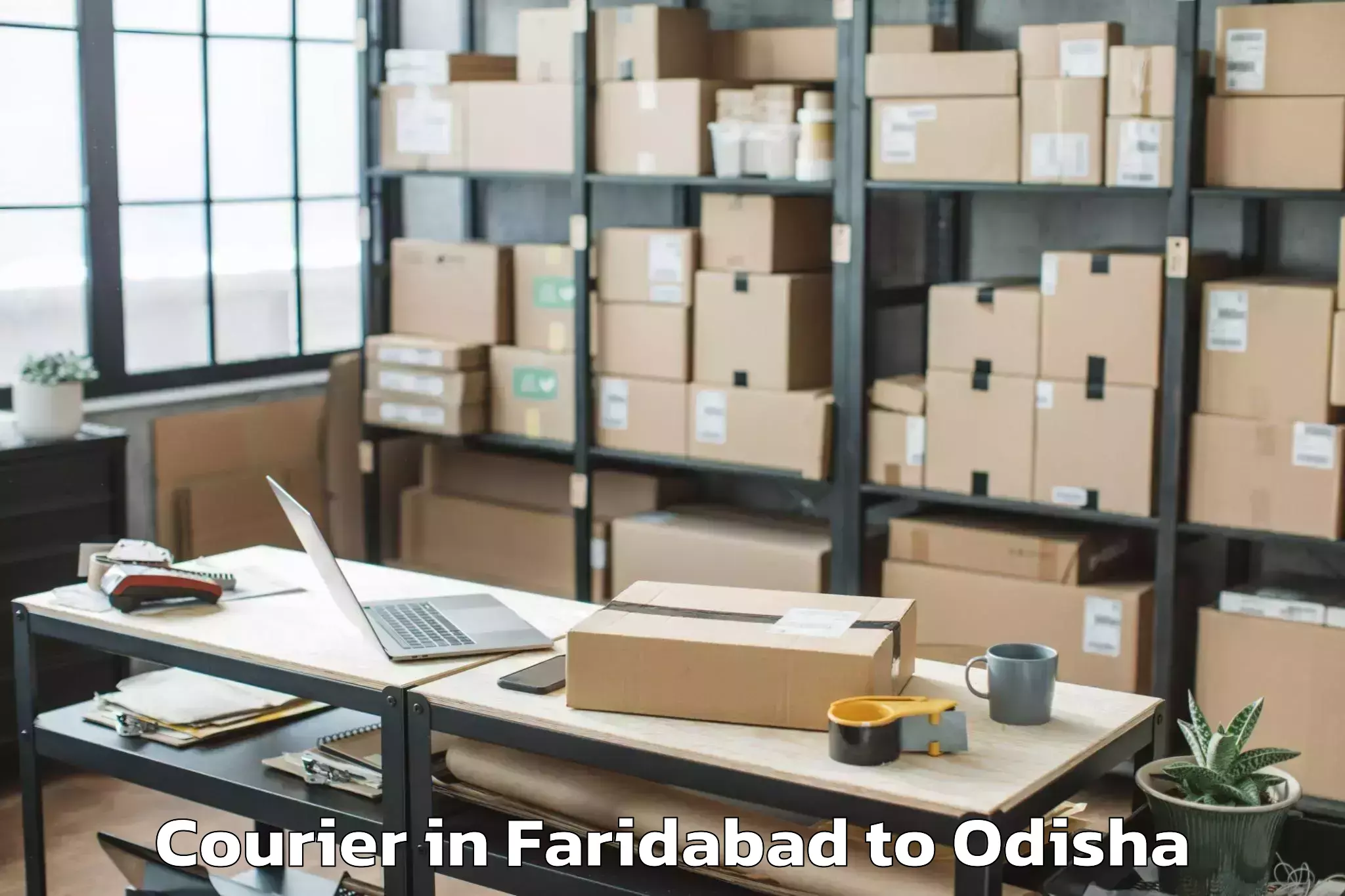 Trusted Faridabad to Central University Of Odisha K Courier